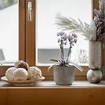 بيت ضيافة Quality Hosts Arlberg - Haus Pepi Eiter 3*
